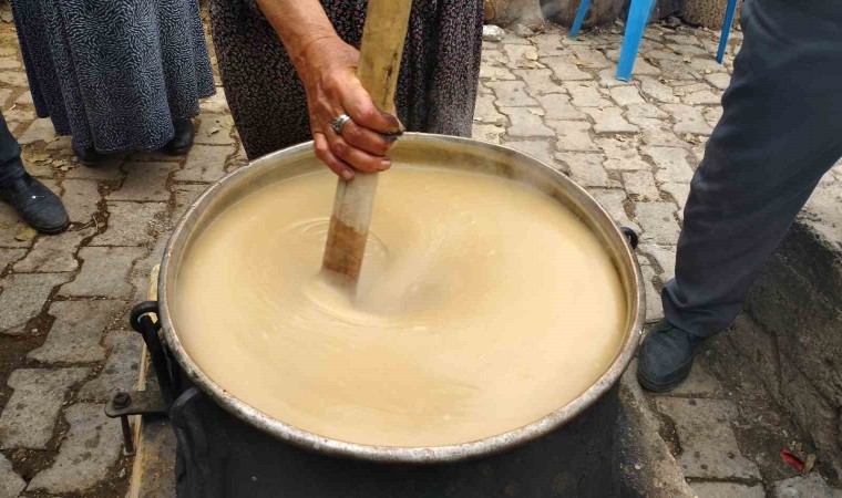 Mardinde bağ bozumu başladı