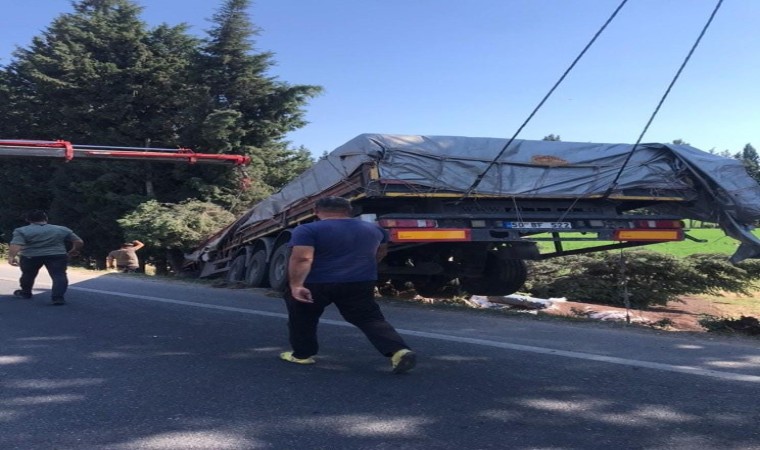 Milasta balık yemi yüklü tır tarlaya uçtu