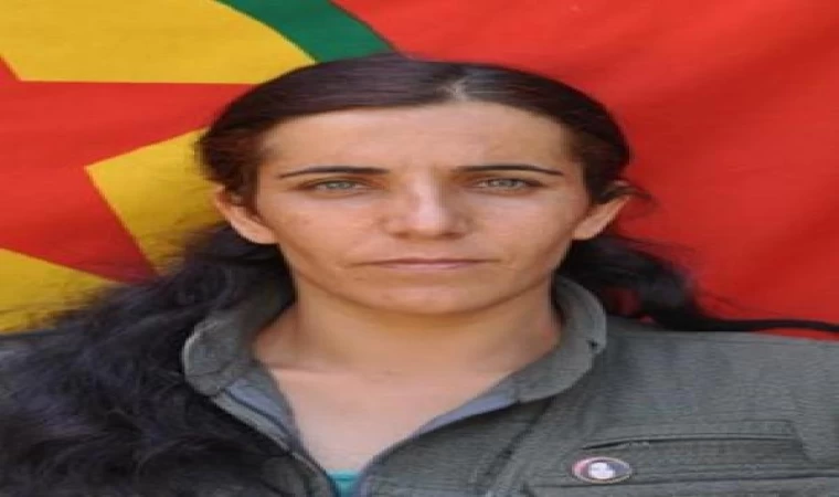 MİT, PKK/KCK’nın sözde toplumsal alan sorumlusunu etkisiz hale getirdi