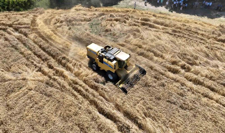 Mudanya Belediyesinden topraktan halka, tarladan sofraya buğday unu