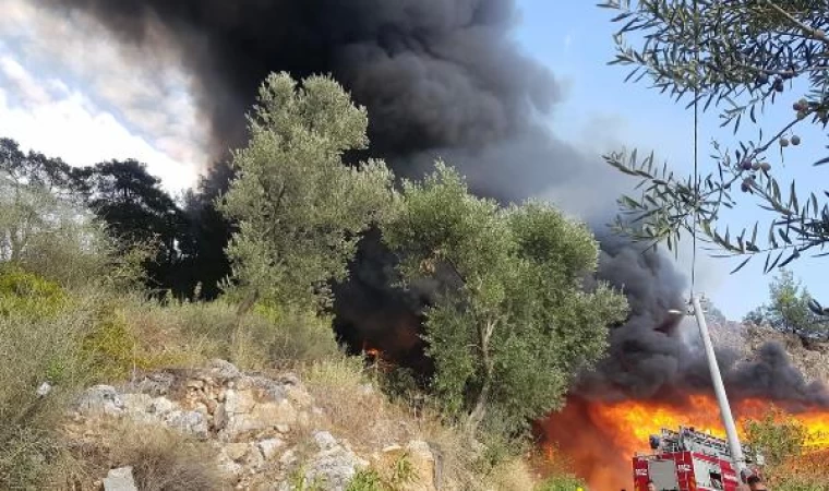 Muğla’da bungalovda çıkan yangın, ormana da sıçradı