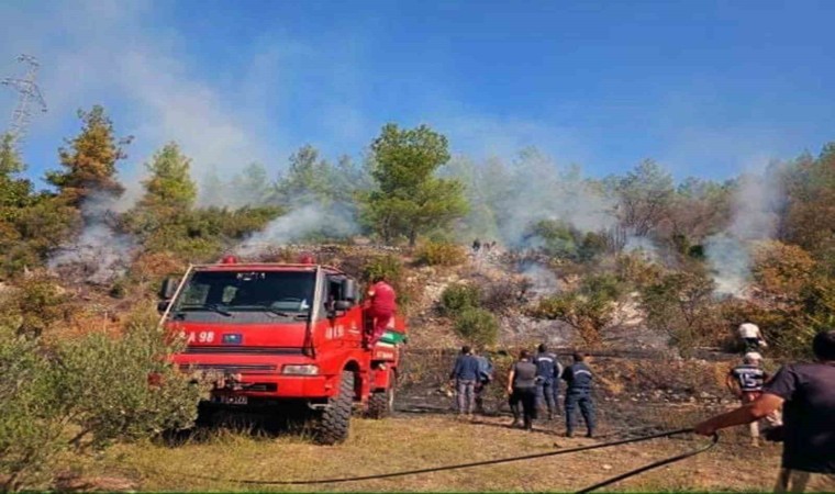 Muğlada makilik yangını