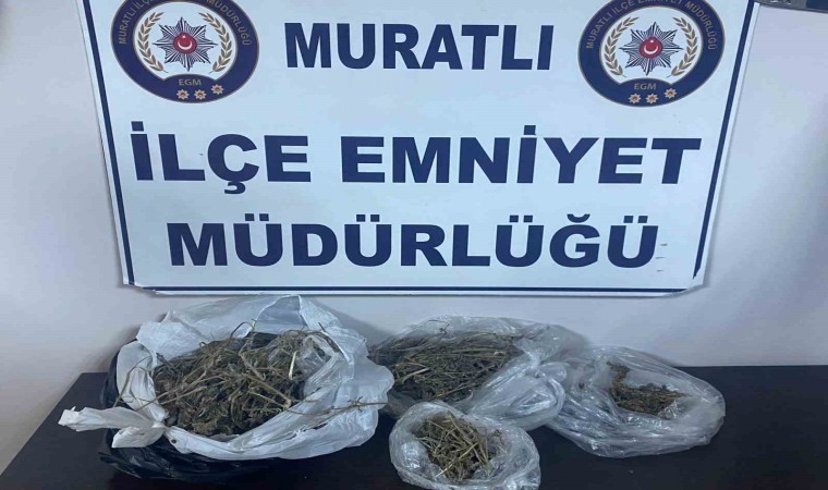 Muratlı Emniyetinden zehir tacirlerine darbe