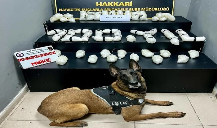 Narkotik köpeği ’Işık’ ile aramada 14 kilo 620 gram uyuşturucu ele geçirildi; yabancı uyruklu 3 kişi gözaltında