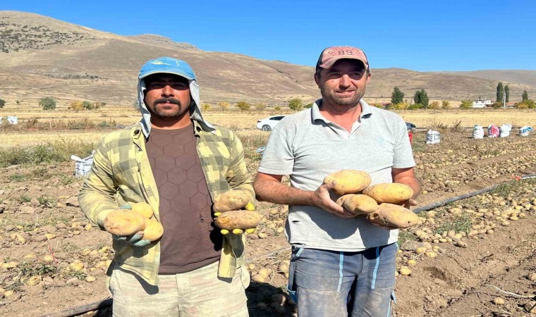 Nevşehirde patates hasadı başladı