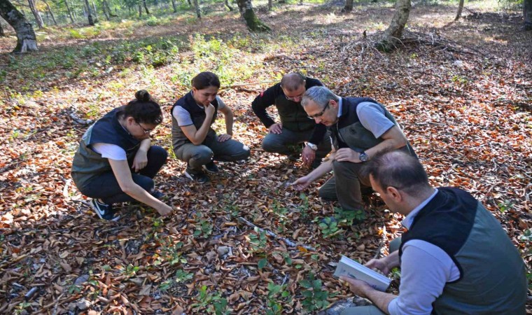 Orman Bölge Müdürü Kayıran Gönende