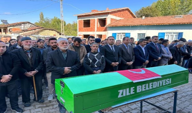 Ormanda odun keserken vuruldu, jandarma şüpheliyi belirlemek için çalışıyor