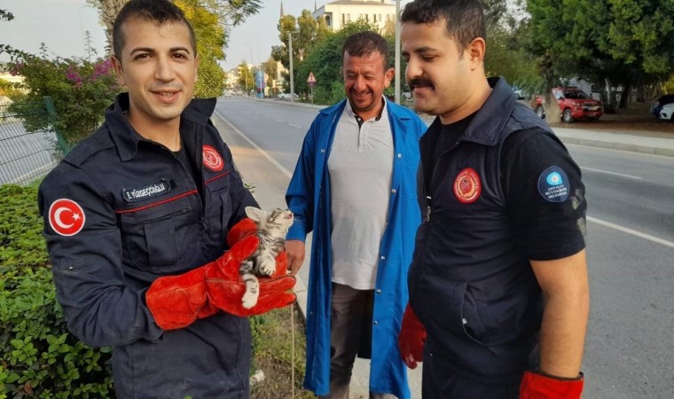 Otomobilin motor kısmına giren yavru kedi, 3 saatte çıkarılabildi