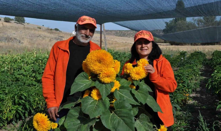 (ÖZEL) Ata tohumu ile sağlıksız gıda üretimine savaş açtılar