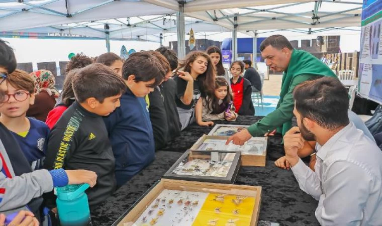 Özel izinle gezilen müzedeki türler, Sur Kültür Yolu Festivali ile dışarı çıkarılarak halka tanıtıldı