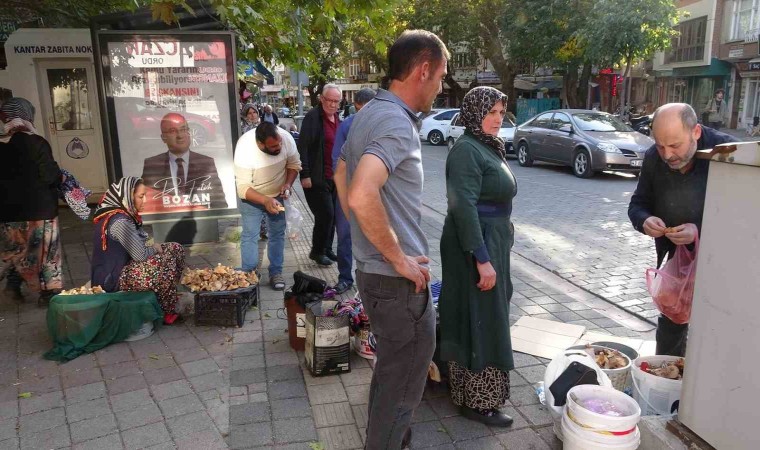 (ÖZEL) Toplaması zahmetli yemesi lezzetli mantar için pazar kuruldu