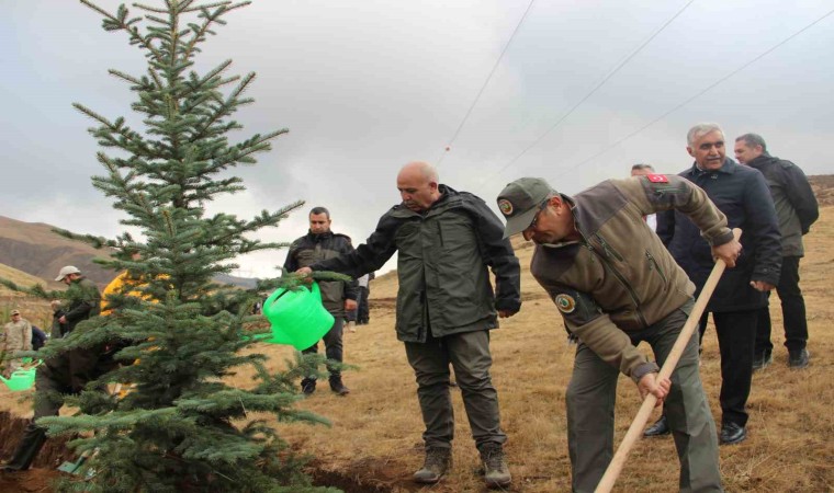 Palandökende 4 bin fidan toprakla buluştu