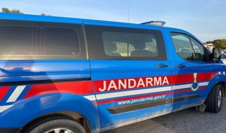 Palet hırsızlarını jandarma yakaladı