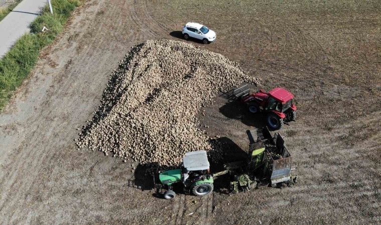 Pancar dönümde 9 tona kadar verim verdi