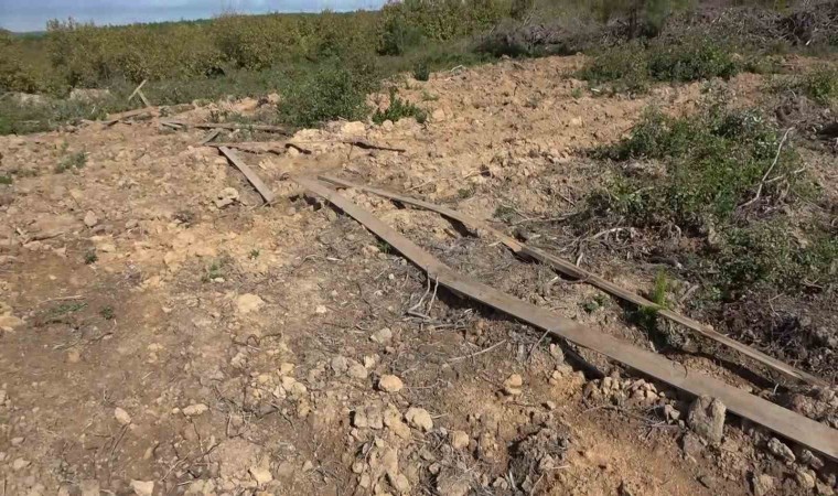 Pendikte ormanda usulsüz satılan araziler havadan görüntülendi