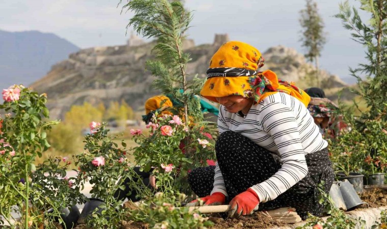 Sahil Yolunda peyzaj ve ağaçlandırma çalışmaları sürüyor