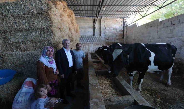 Şahinbey Belediyesinin destekleri ile hayvancılık gelişiyor