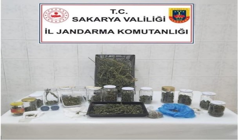 Sakaryada 70 kilo kubar esrar ele geçirildi: 7 tutuklama