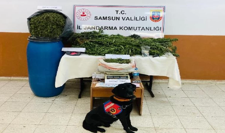 Samsun’da 22 kilo 755 gram kubar esrar ele geçirildi