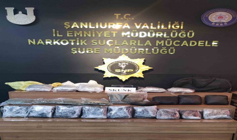 Şanlıurfada 15 kilo skunk ele geçirildi