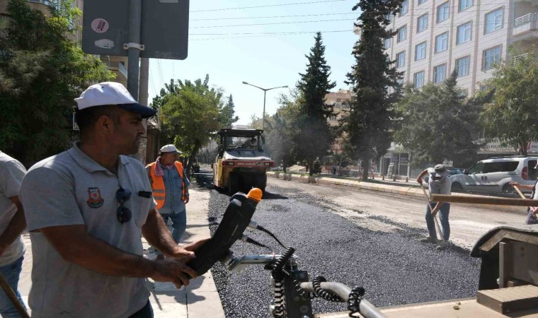 Şanlıurfada asfaltlama çalışmaları sürüyor