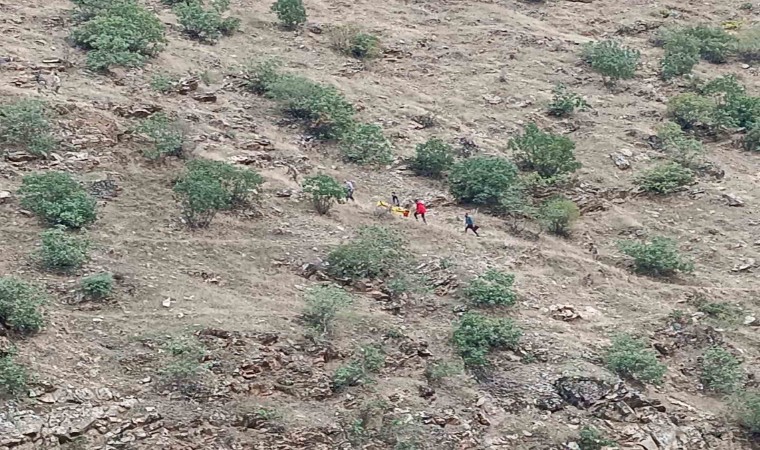 Siirtte menengiç toplamaya giden kız yamaçtan yuvarlanarak yaralandı