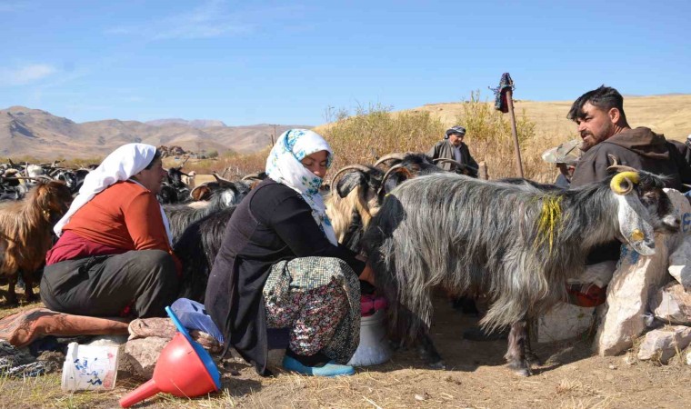 Şırnakta berivanların şartlarının iyileştirilmesinde devletten tam destek