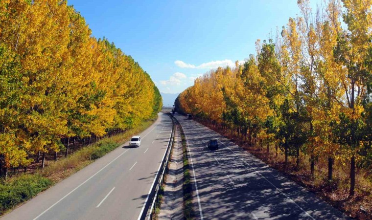 Sonbaharın gelmesiyle birlikte karayolunda renk cümbüşü yaşandı