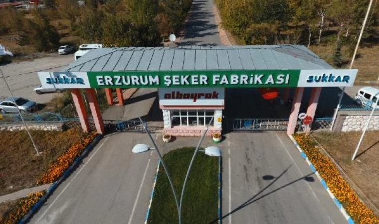 Sukkar Şeker’den 84 bin ton kristal şeker üretim hedefi