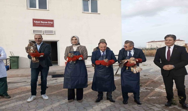 Tedavilere tamamlanan yırtıcı kuşları doğaya protokol üyeleri saldı