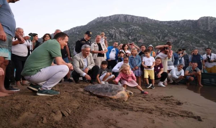 Tedavisi tamamlanan 10 deniz kaplumbağası denizle buluşturuldu