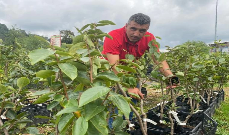 ’Tohum gelecektir’ dedi; 8 yılda 8,5 milyon üretti