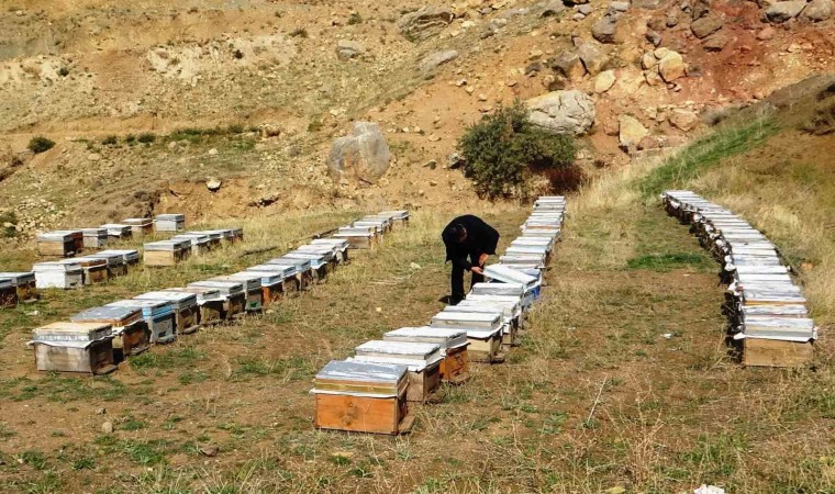 Van Arıcılar Birliği Yönetim Kurulu Üyesi Tandoğan: Van balı, kesinlikle hak ettiği yerde değildir