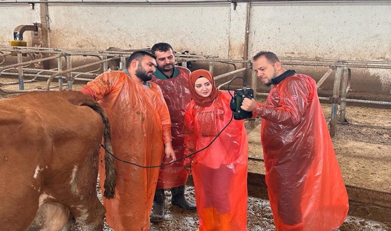 Van Büyükşehir Belediyesi veteriner hekimleri mezbahanelerde ultrasonla kontrol yapacak