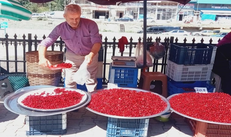 Vitamin deposu kızılcık tezgahlarda yerini aldı