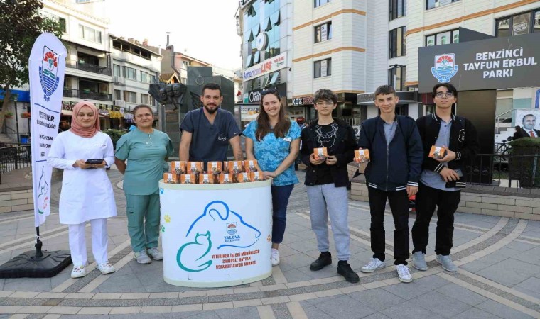 Yalova Belediyesi sokak hayvanları için mama dağıttı