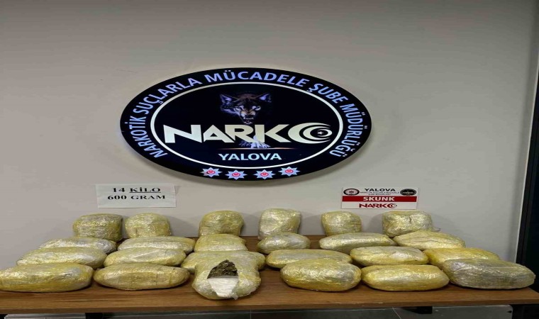 Yalovada 14 kilo 600 gram skunk ele geçirildi