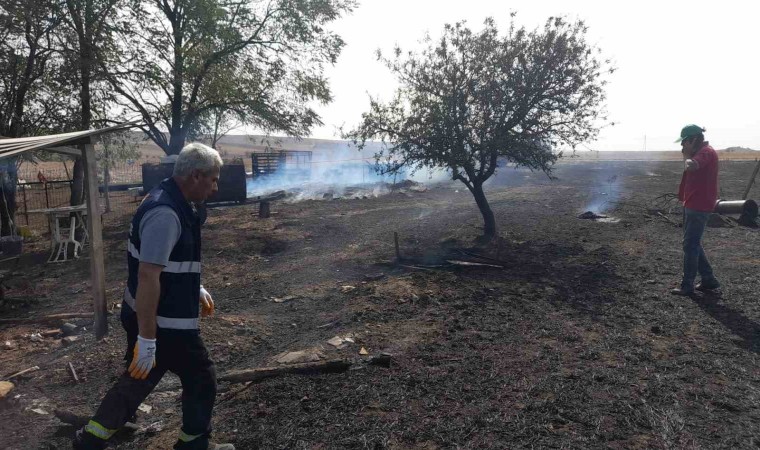 Yangında 500 dönüm tarım arazisi ve 3 ahır zarar gördü