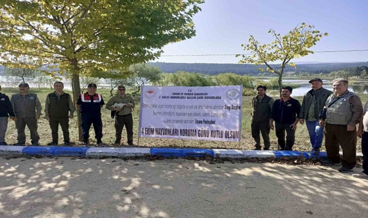 Yaralı bulunan leylek tedavisinin ardından doğaya salındı