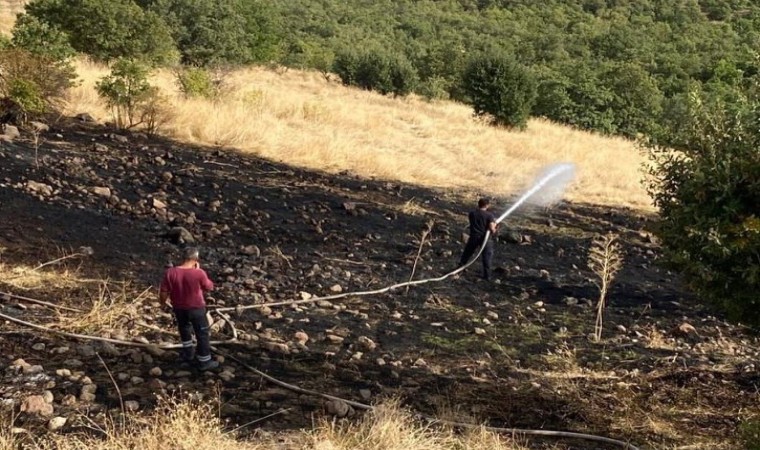 Yayladerede otluk alanda çıkan yangın söndürüldü