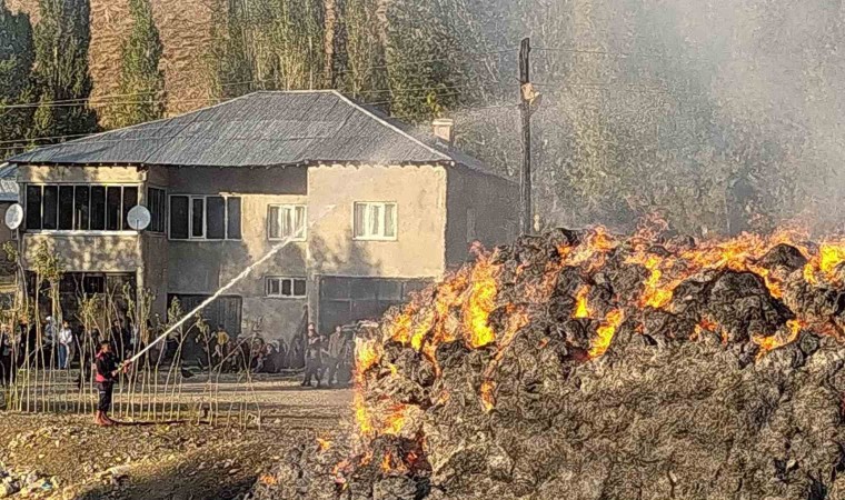 Yüksekovada çıkan yangında 20 bin bağ ot yandı