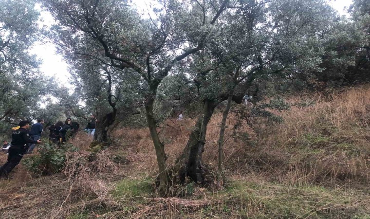 Zeytin ağacına asılı bulunan kadın çocuklarını sevgilisine emanet etmiş