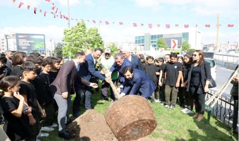 Zeytinburnu’nda Cumhuriyetin 100’üncü yılına özel 100 çınar dikilecek