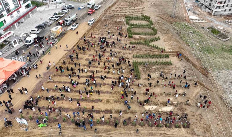 100. Yıl Cumhuriyet Hatıra Ormanına 2023 adet fidan dikildi