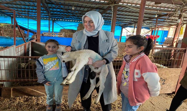 37 küçükbaş ile başladı şimdi 135 ulaştı