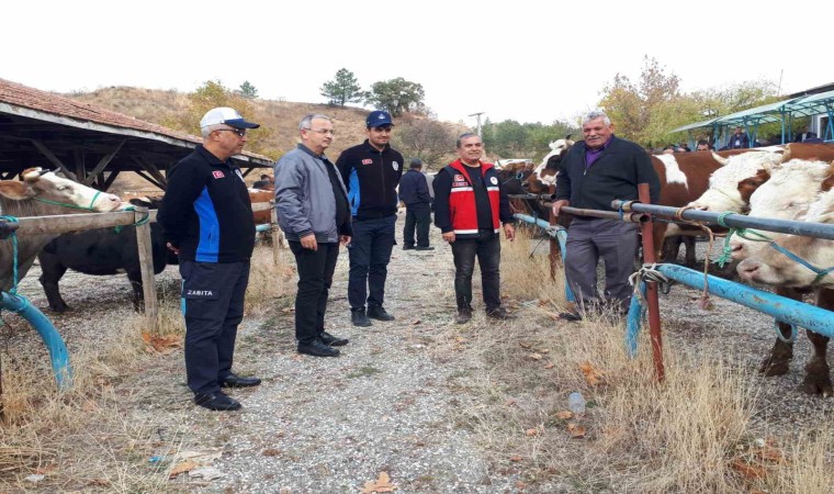 6 aydır kapalı olan Tosya Hayvan Pazarı yeniden açıldı