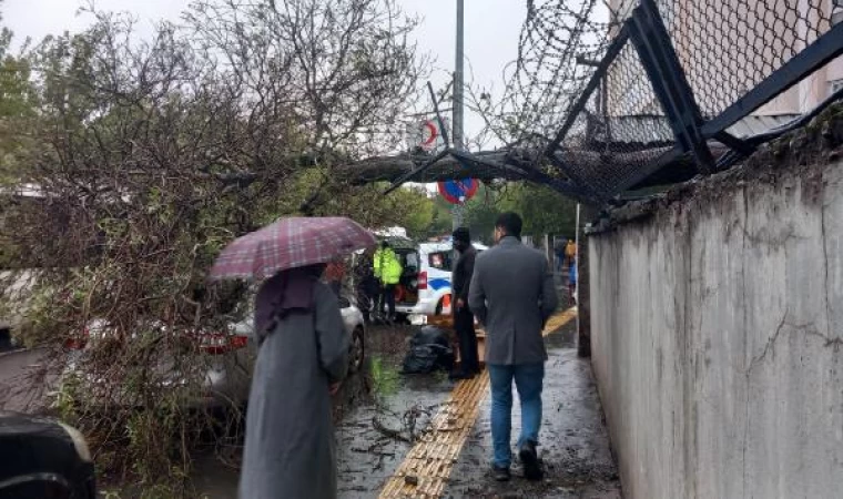 Ağaç, park halindeki otomobilin üzerine devrildi