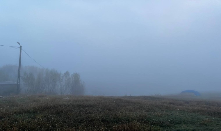 Ağrı soğuk havanın etkisine girdi