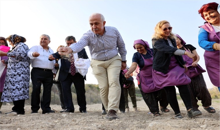 Akdenizde gambilya, organik ıspanak ve şevketi bostan ekimi gerçekleştirildi