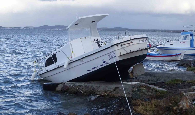 Altınovada fırtına hayatı olumsuz etkiledi